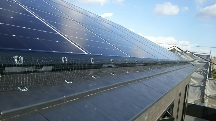 鳩除け工事170222